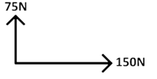 https://www.wetenschapsschool.nl/chapter/kracht/resulterende_kracht18.png