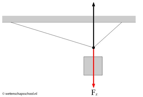 http://wetenschapsschool.nl/chapter/kracht/evenwicht_nieuw_2.png